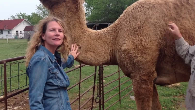 Visiting with a Camel Up Close
